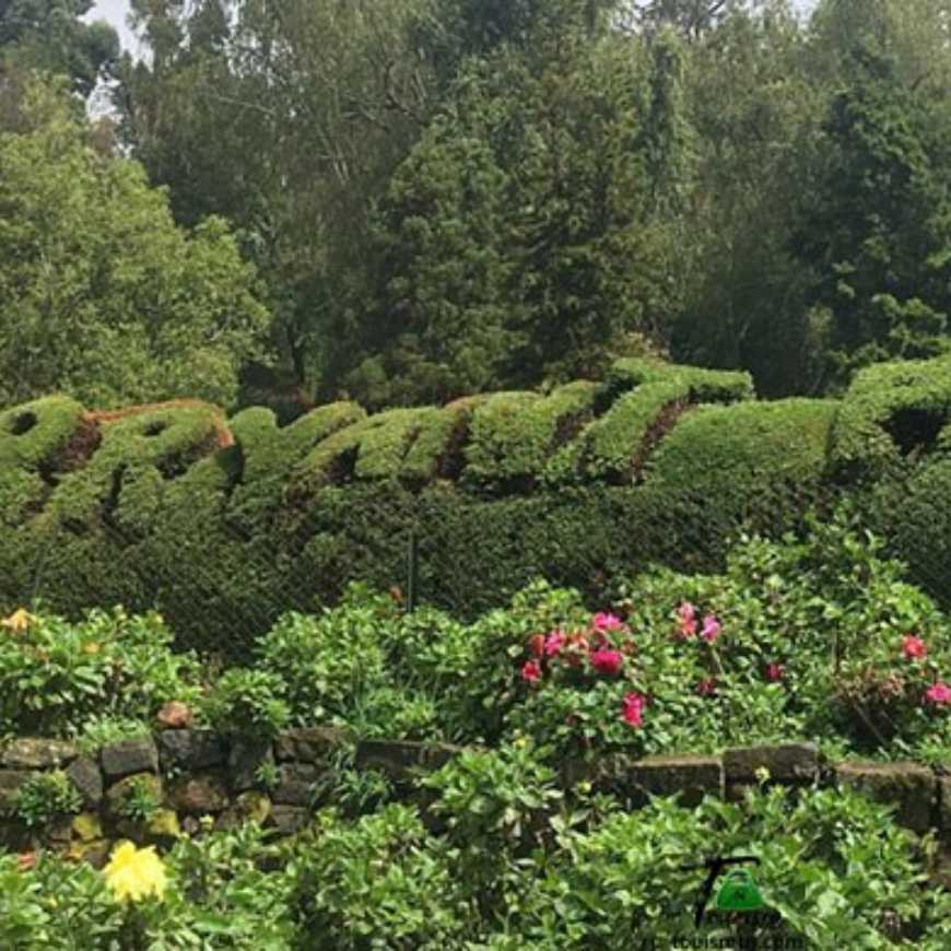 Palani-To-Kodaikanal-Flowers-Park