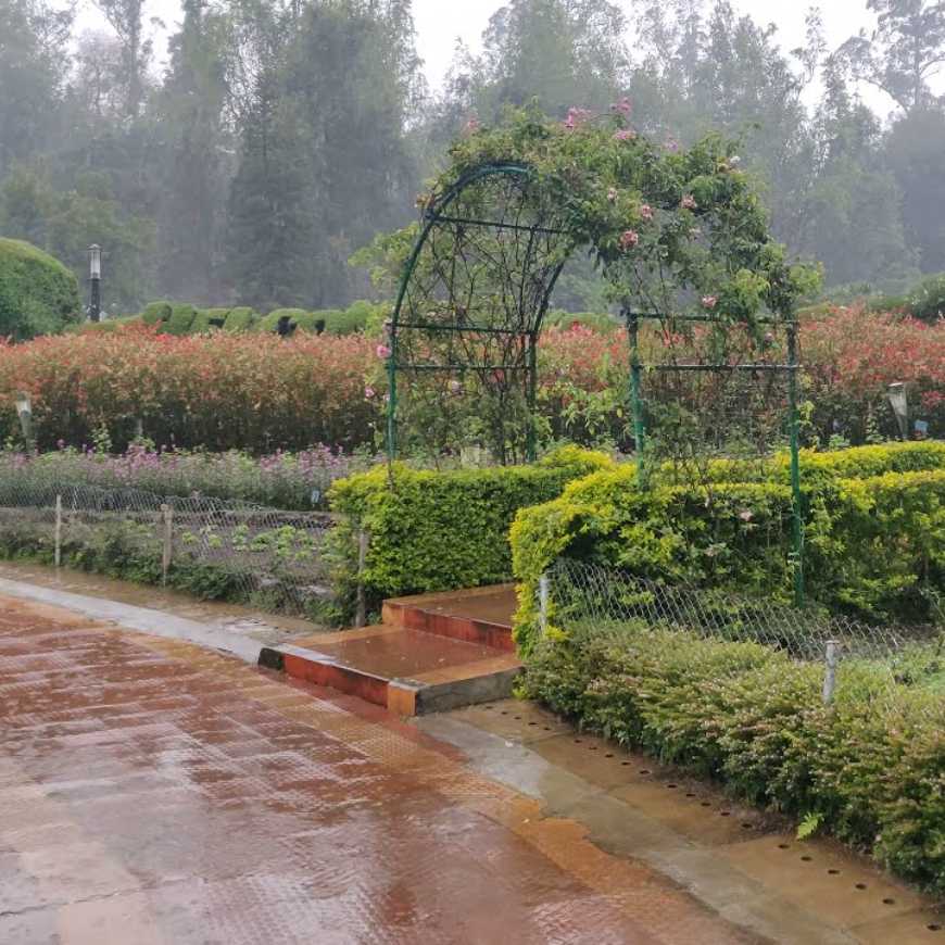 Palani-To-Kodaikanal-Flowers-Park