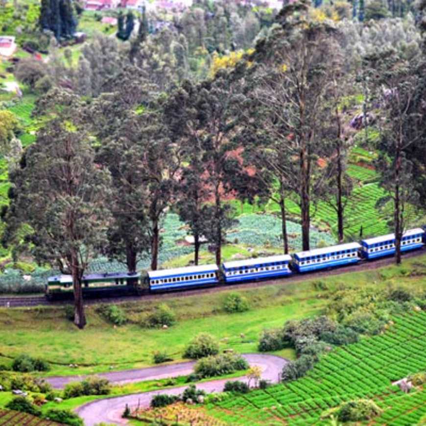 Theni-Ooty-Tour-Package