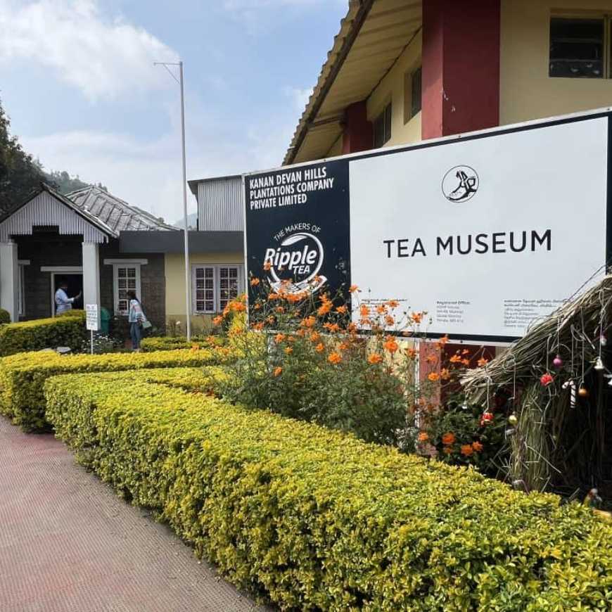 Book-Munnar-Tour-Package-Dindigul