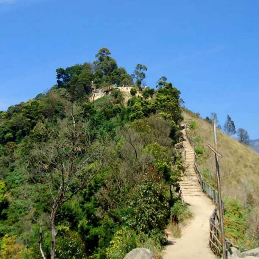 Book-Munnar-Tour-Package-Dindigul